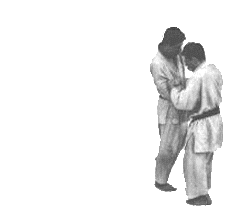 judo_1sumi_flash.gif
