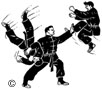 kung-fu-1.jpg