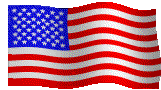 THE FLAG COUNTER-TERRORISM 